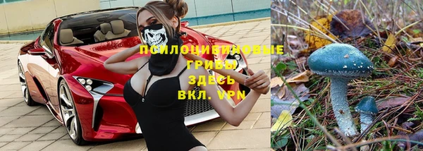 бутират Алзамай