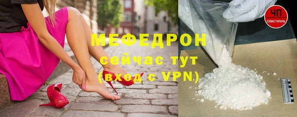 сатива Новозыбков