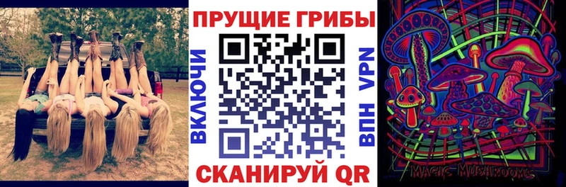Псилоцибиновые грибы Cubensis  hydra как войти  Харабали  купить  цена 